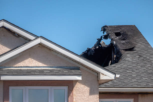Licensed Content Restoration service in Maple Grove, MN - Fire Damage Biloxi